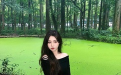 一本道高清幕免费视频